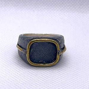 Buck Palmer Starseed Ring
